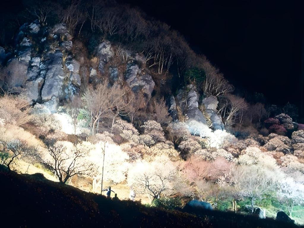 Corredor Yugawara Dog＆Resort Atami  Esterno foto